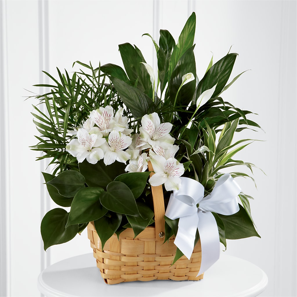Peace & Serenity Dishgarden – Flora Ventures Llc, Newmarket NH
