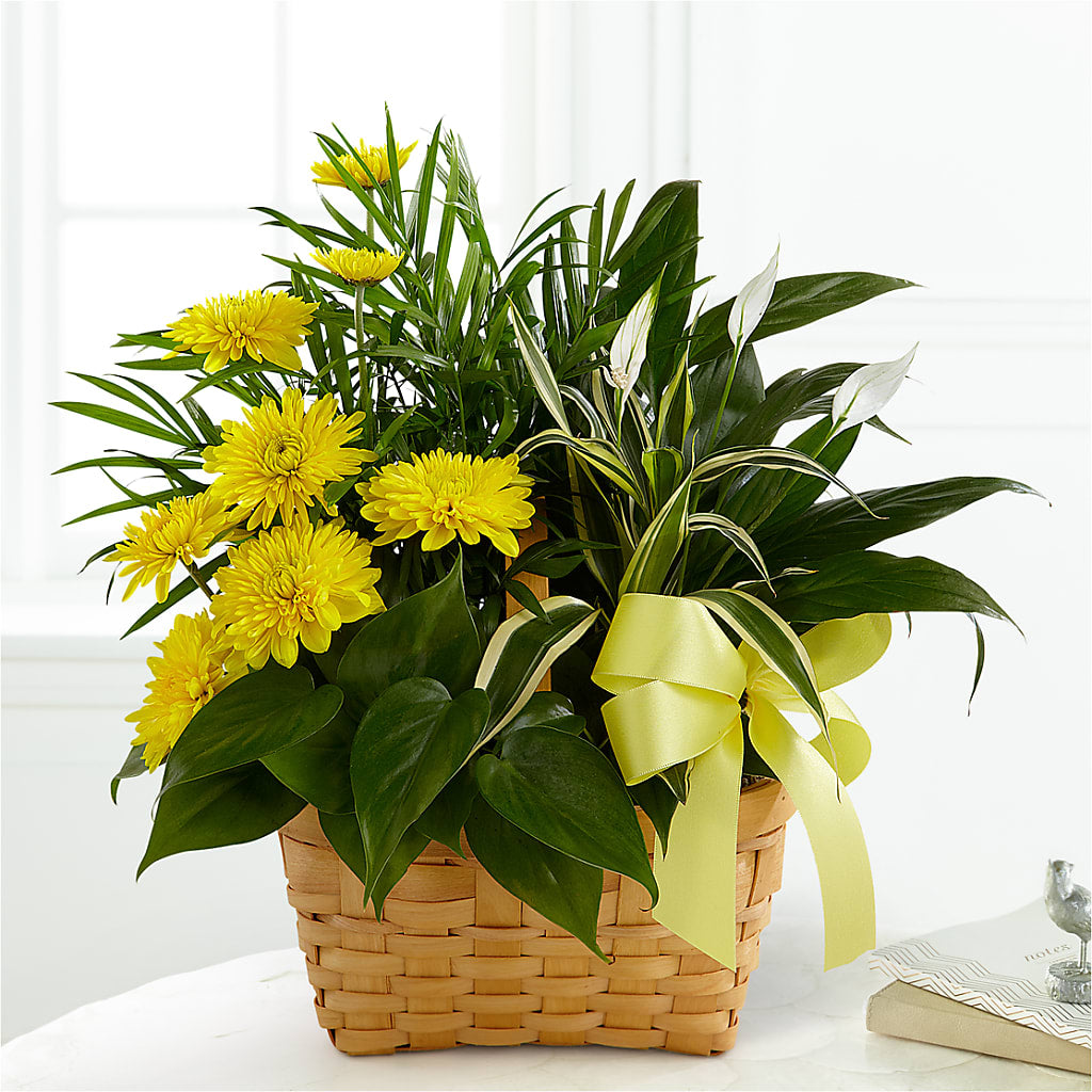 Loving Light Dishgarden – Flora Ventures Llc, Newmarket NH