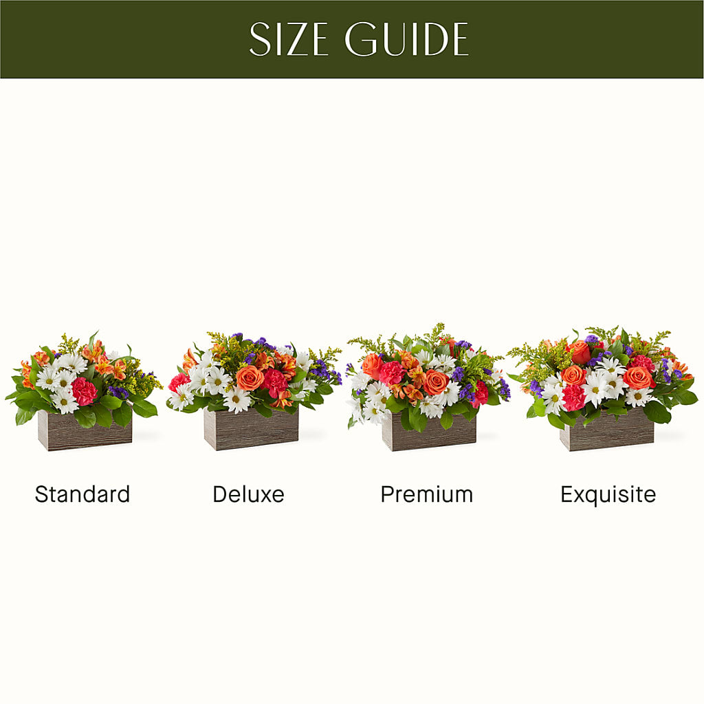 Oopsie Daisy Box Bouquet – Flora Ventures Llc, Newmarket NH