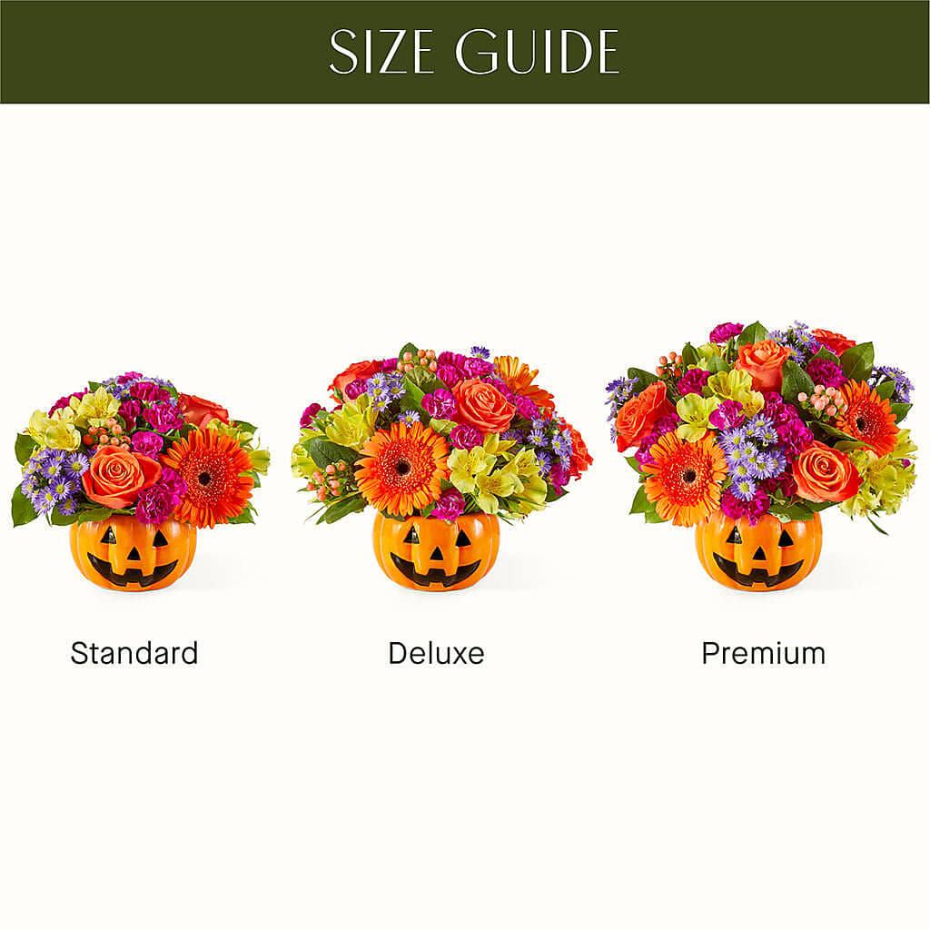Tricks & Treats Pumpkin – Flora Ventures Llc, Newmarket NH