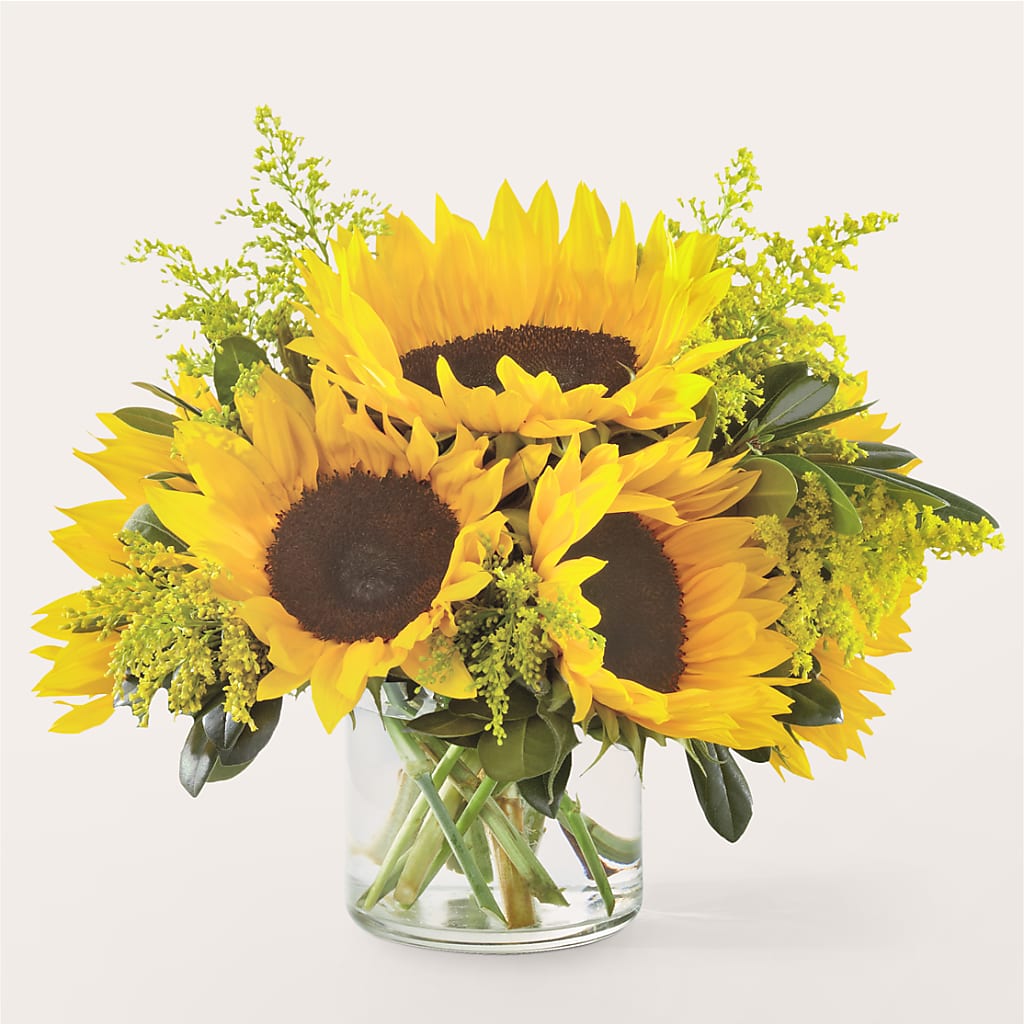 Beaming Sunflower Bouquet – Flora Ventures Llc, Newmarket NH