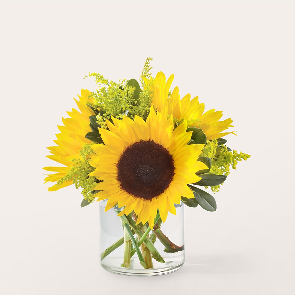 Beaming Sunflower Bouquet – Flora Ventures Llc, Newmarket NH