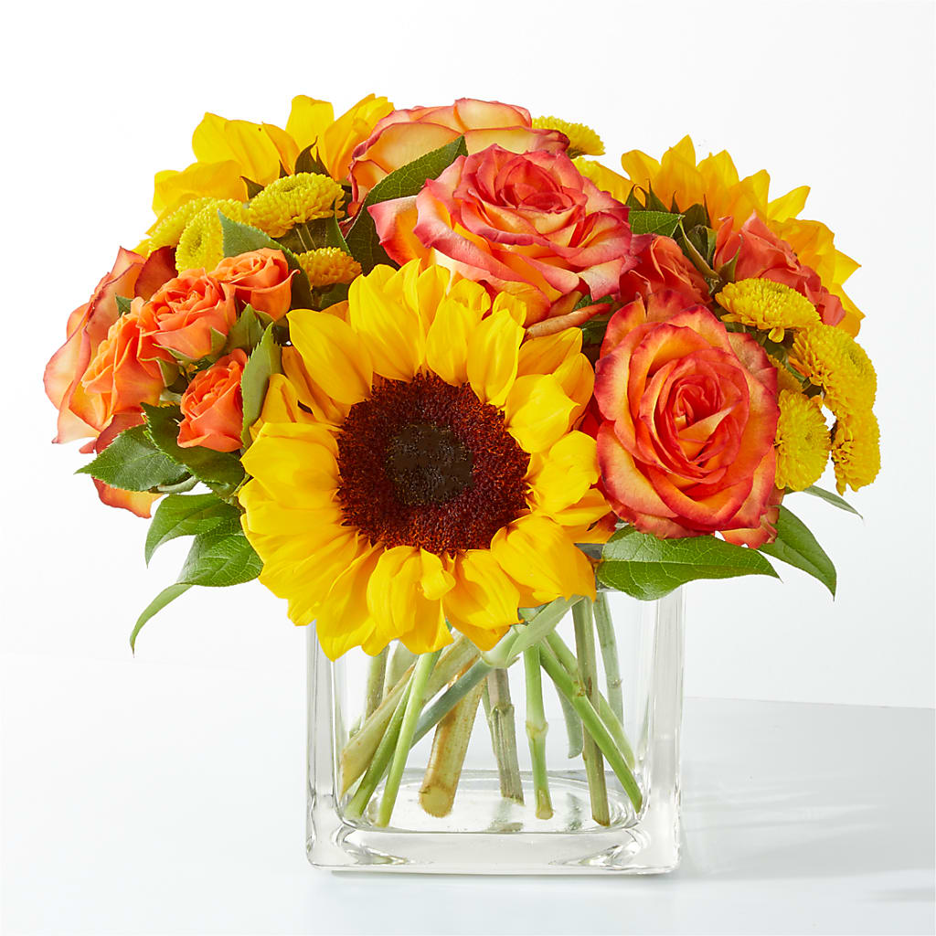 Picnic in the Park Bouquet – Flora Ventures Llc, Newmarket NH