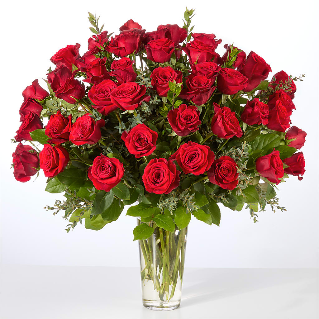 Forever Yours Fifty Stem Red Rose Bouquet – Flora Ventures Llc, Newmarket NH