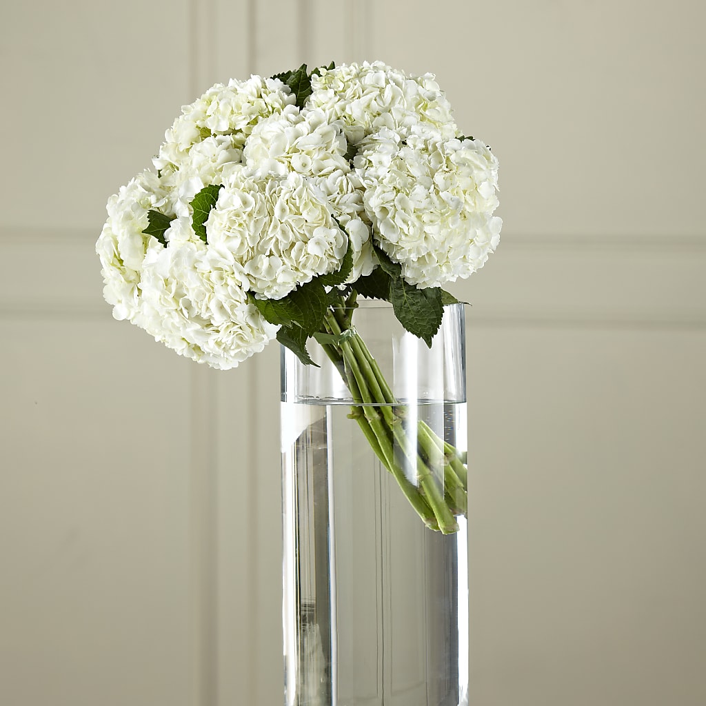 White Hydrangea Hand-Tied Bouquet – Flora Ventures Llc, Newmarket NH