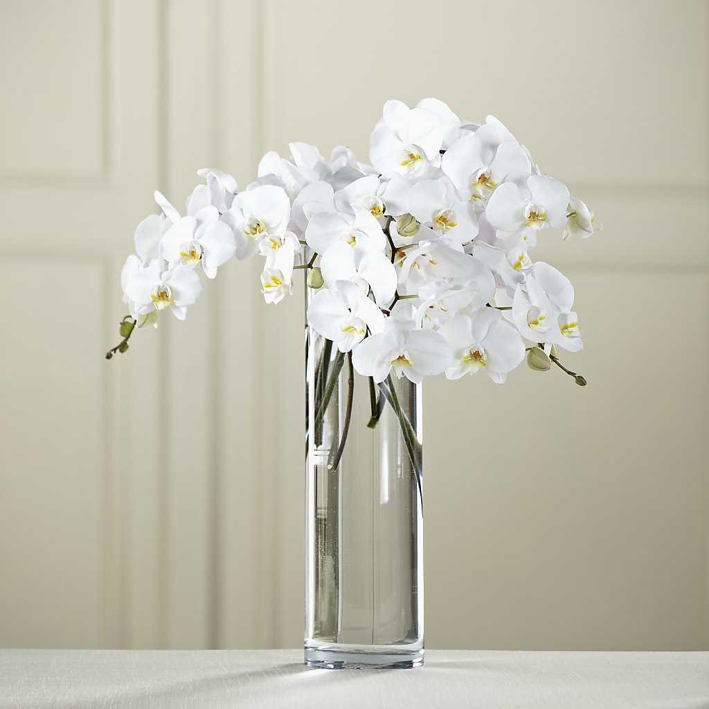 White Phalaenopsis Bouquet – Flora Ventures Llc, Newmarket NH