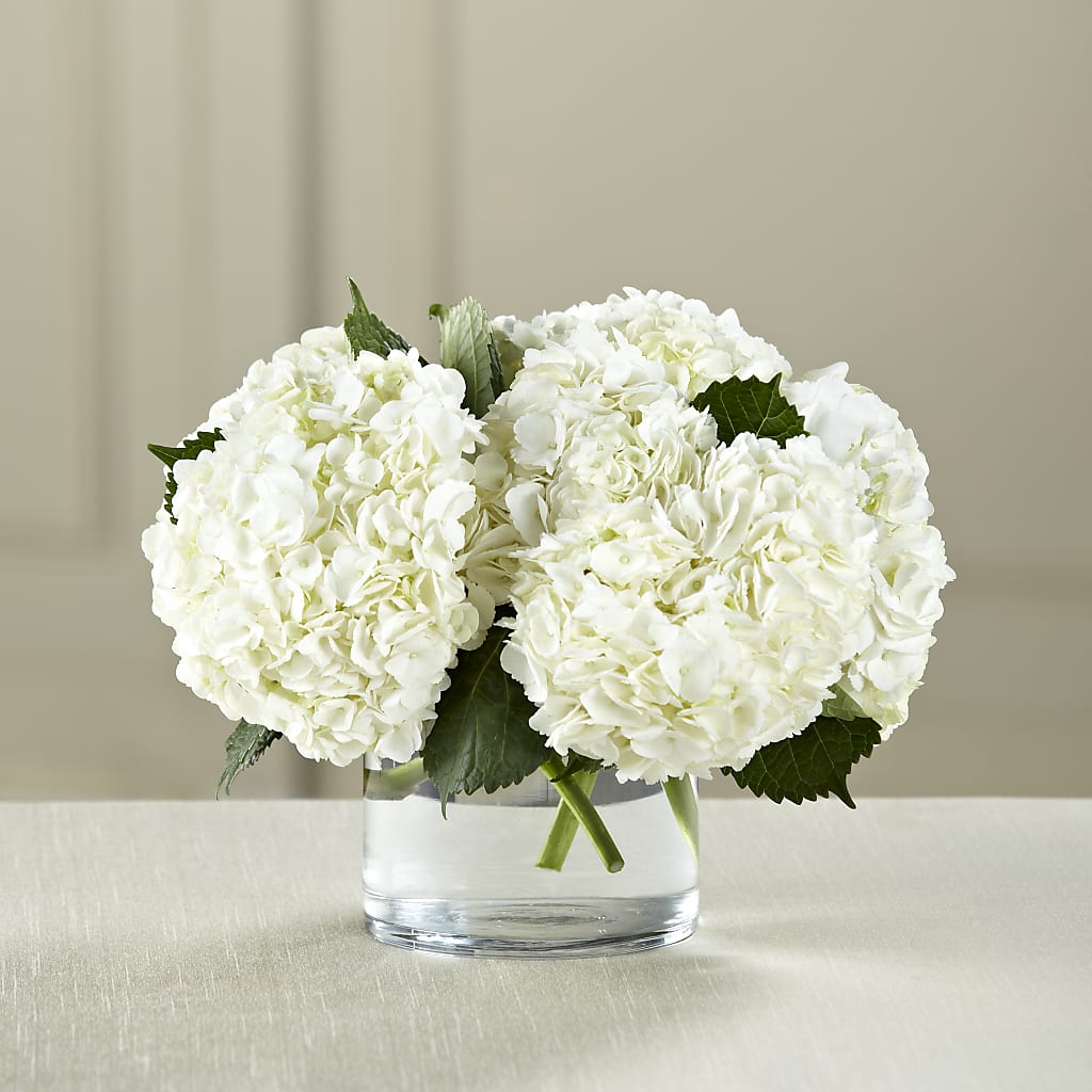 White Hydrangea Bouquet – Flora Ventures Llc, Newmarket NH