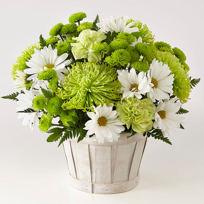 Lucky Charm Basket (Standard) –  Flora Ventures Llc, Newmarket NH