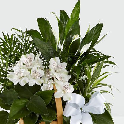 Peace & Serenity Dishgarden –  Flora Ventures Llc, Newmarket NH