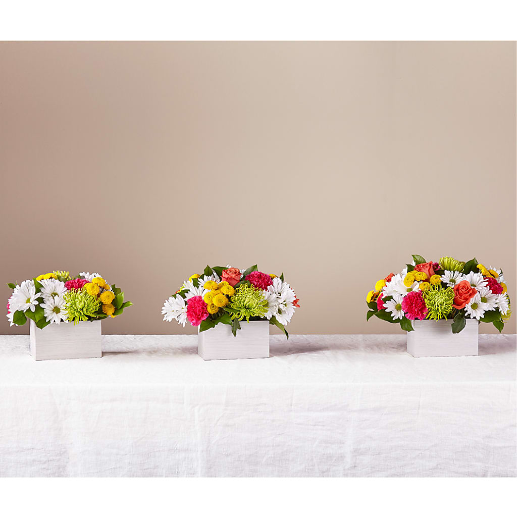 Sorbet Bouquet –  Flora Ventures Llc, Newmarket NH