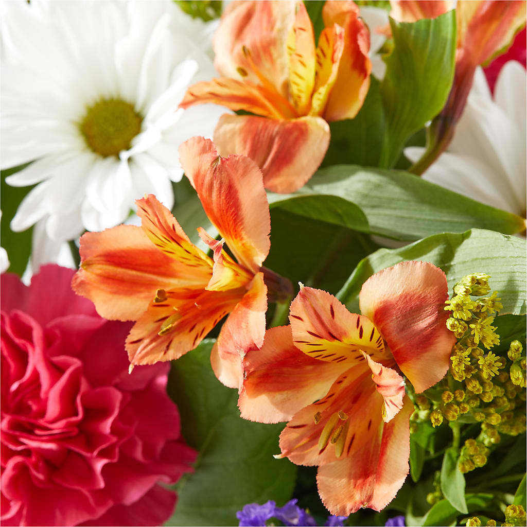 Oopsie Daisy Box Bouquet –  Flora Ventures Llc, Newmarket NH
