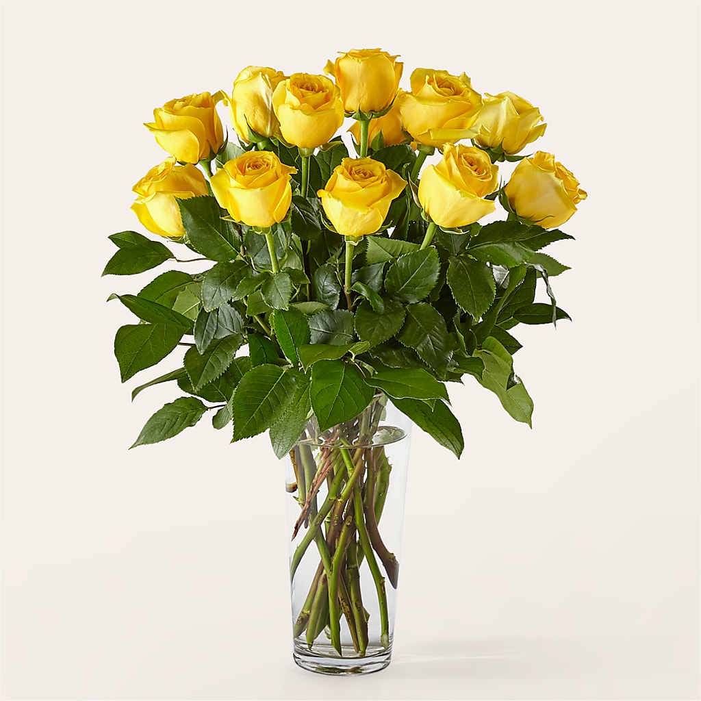 Long Stem Yellow Rose Bouquet –  Flora Ventures Llc, Newmarket NH
