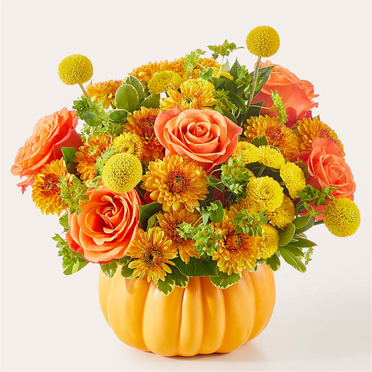 Gourdgeous Pumpkin –  Flora Ventures Llc, Newmarket NH
