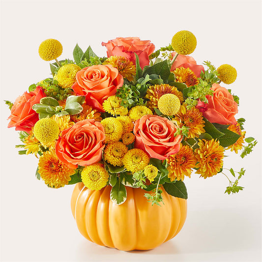 Gourdgeous Pumpkin –  Flora Ventures Llc, Newmarket NH