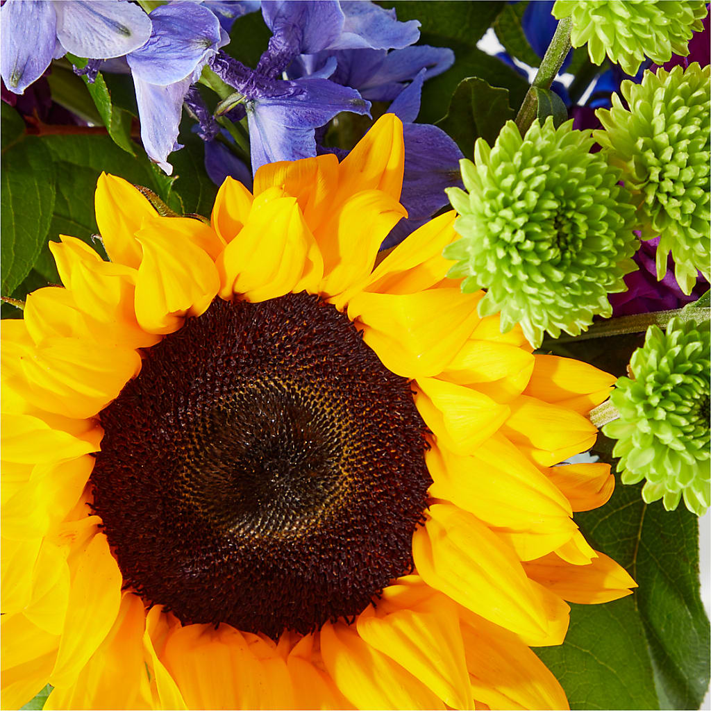 Catching Rays Bouquet –  Flora Ventures Llc, Newmarket NH