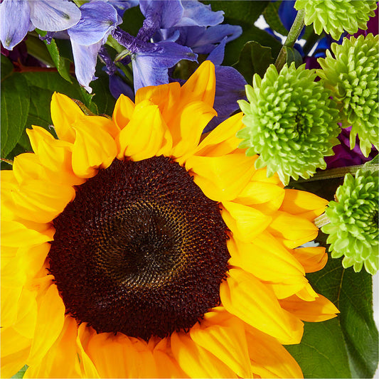Catching Rays Bouquet –  Flora Ventures Llc, Newmarket NH