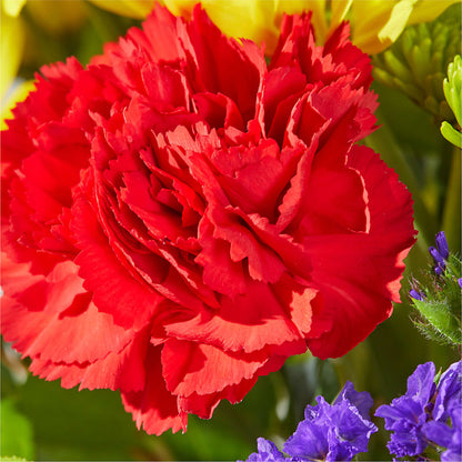 Brighter Days Bouquet –  Flora Ventures Llc, Newmarket NH