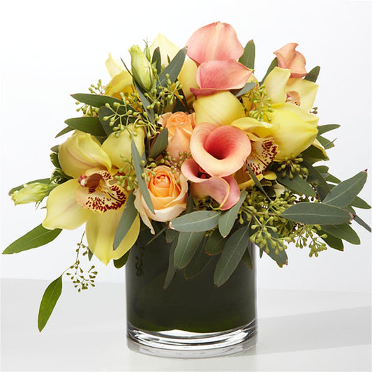 The Visionary –  Flora Ventures Llc, Newmarket NH