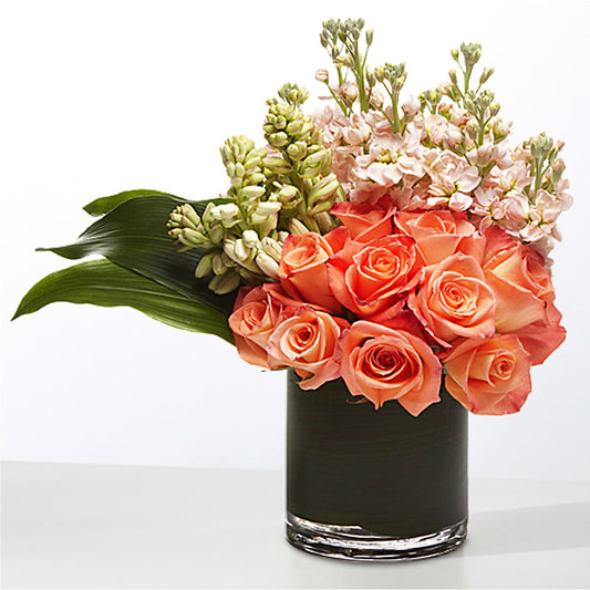 The Moment –  Flora Ventures Llc, Newmarket NH