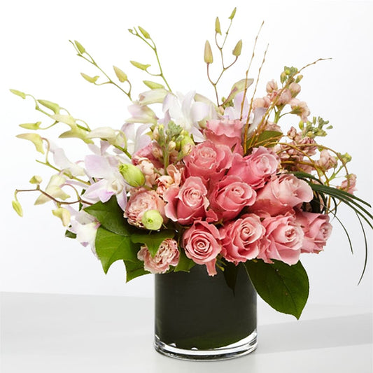 The Muse –  Flora Ventures Llc, Newmarket NH