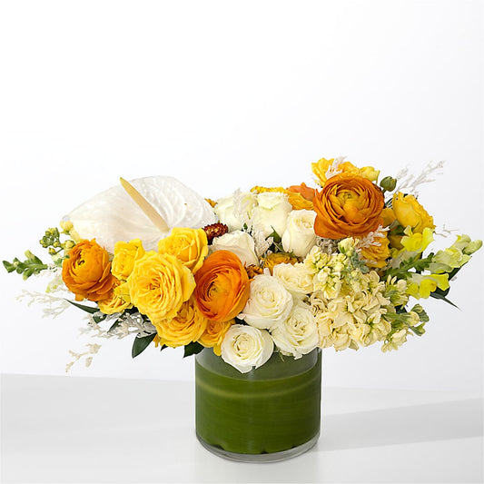 The Optimist –  Flora Ventures Llc, Newmarket NH