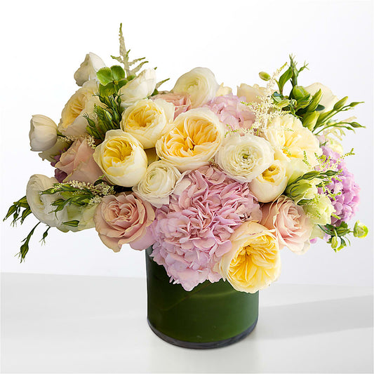 The Melody –  Flora Ventures Llc, Newmarket NH