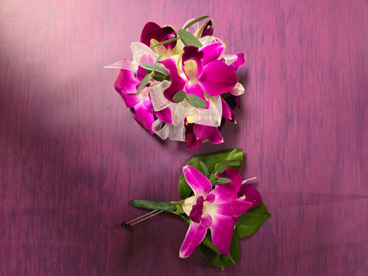 Purple dendrobium orchids –  Flora Ventures Llc, Newmarket NH