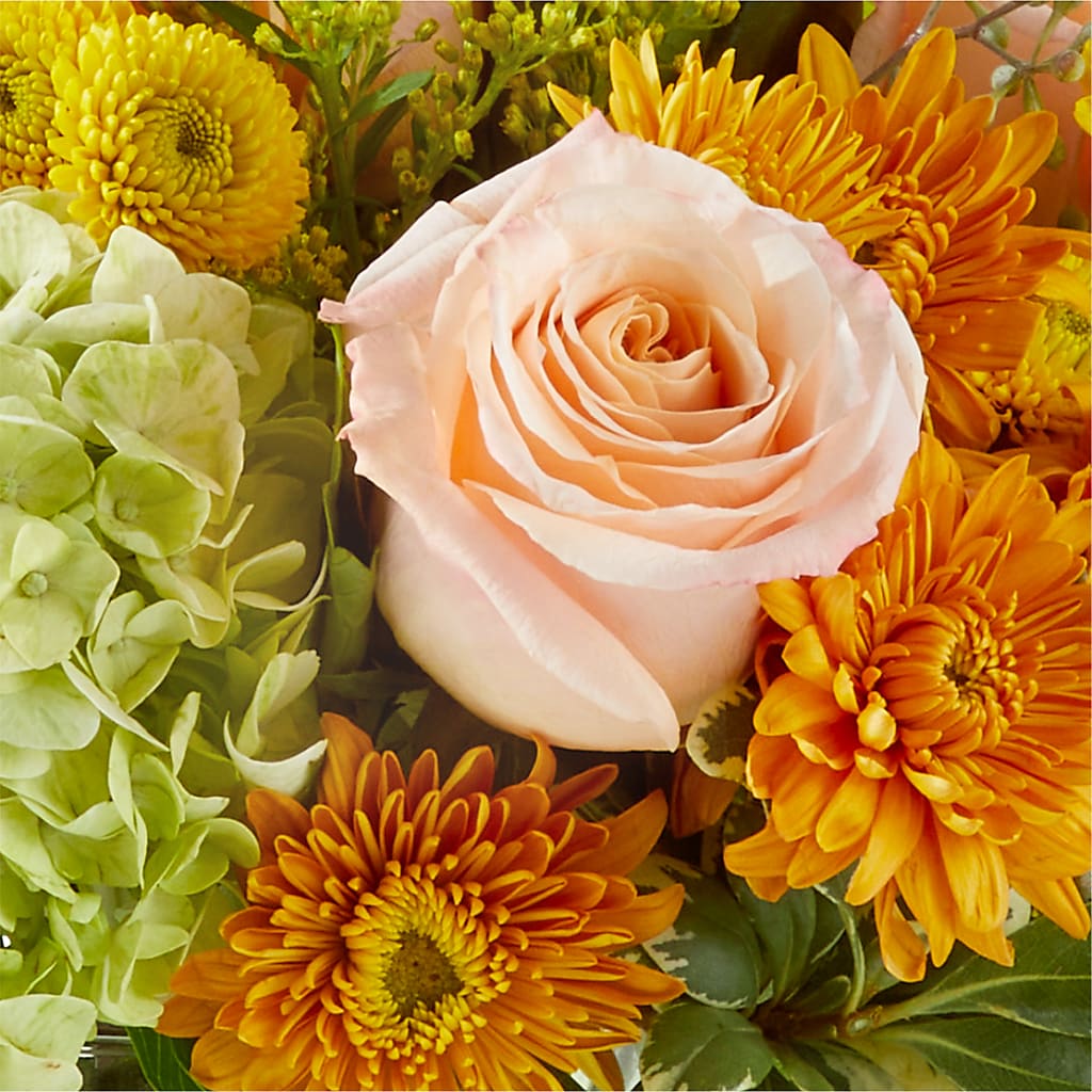 Fall Foliage Bouquet –  Flora Ventures Llc, Newmarket NH
