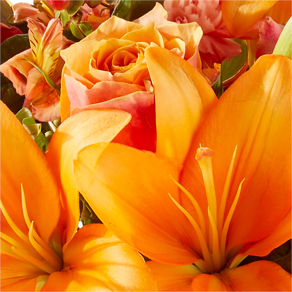 Afternoon Light Bouquet –  Flora Ventures Llc, Newmarket NH
