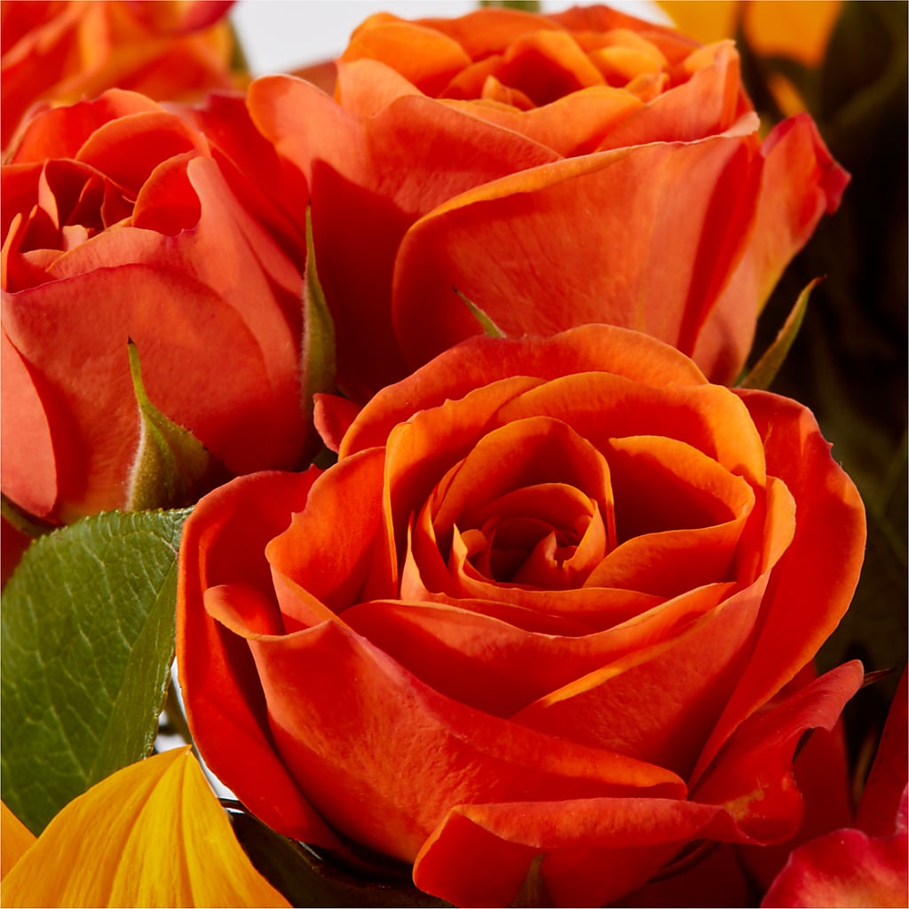 Picnic in the Park Bouquet –  Flora Ventures Llc, Newmarket NH
