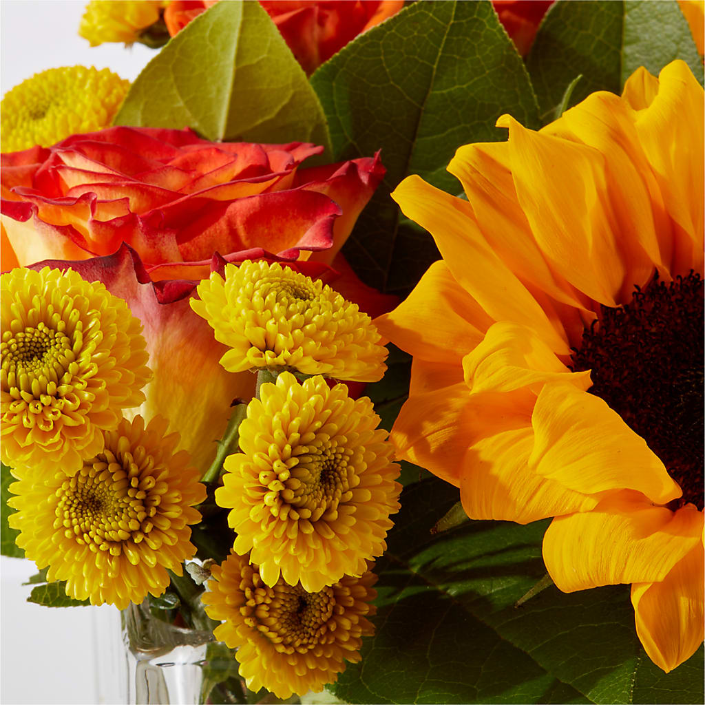 Picnic in the Park Bouquet –  Flora Ventures Llc, Newmarket NH