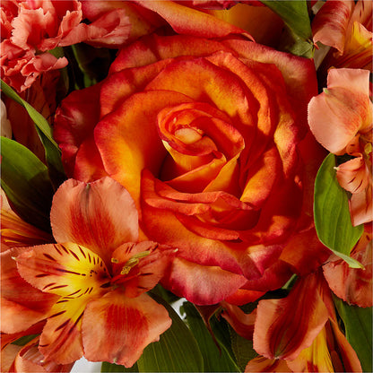 Apricot Glow Bouquet –  Flora Ventures Llc, Newmarket NH
