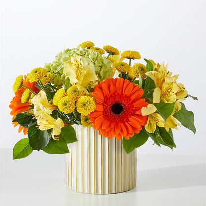 Autumn Sunshine Bouquet with Ivory Vase –  Flora Ventures Llc, Newmarket NH