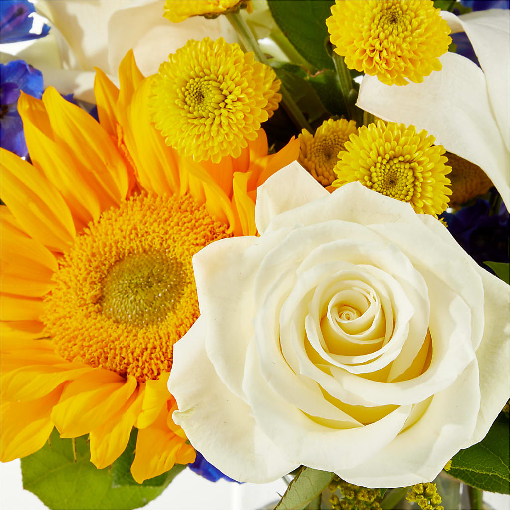 Stargazing Bouquet –  Flora Ventures Llc, Newmarket NH