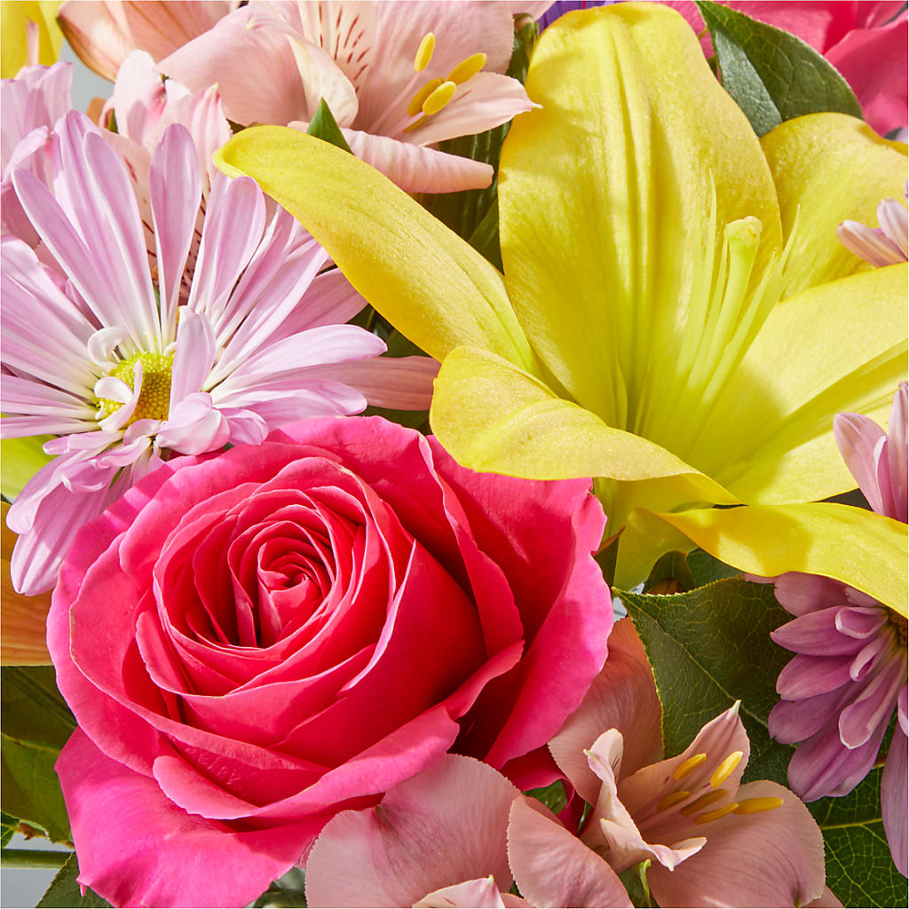 Sprinkles Bouquet –  Flora Ventures Llc, Newmarket NH