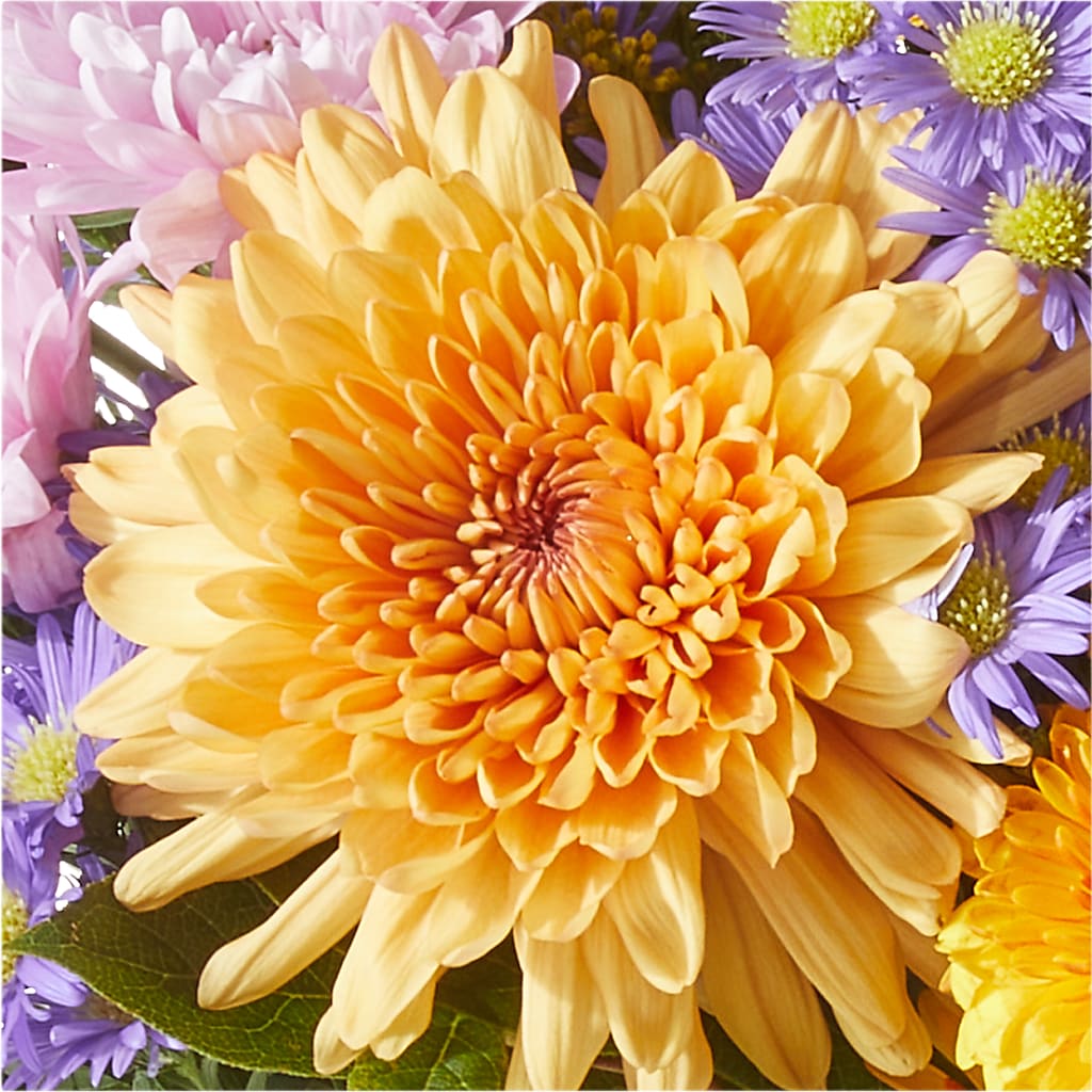Countryside Bouquet –  Flora Ventures Llc, Newmarket NH
