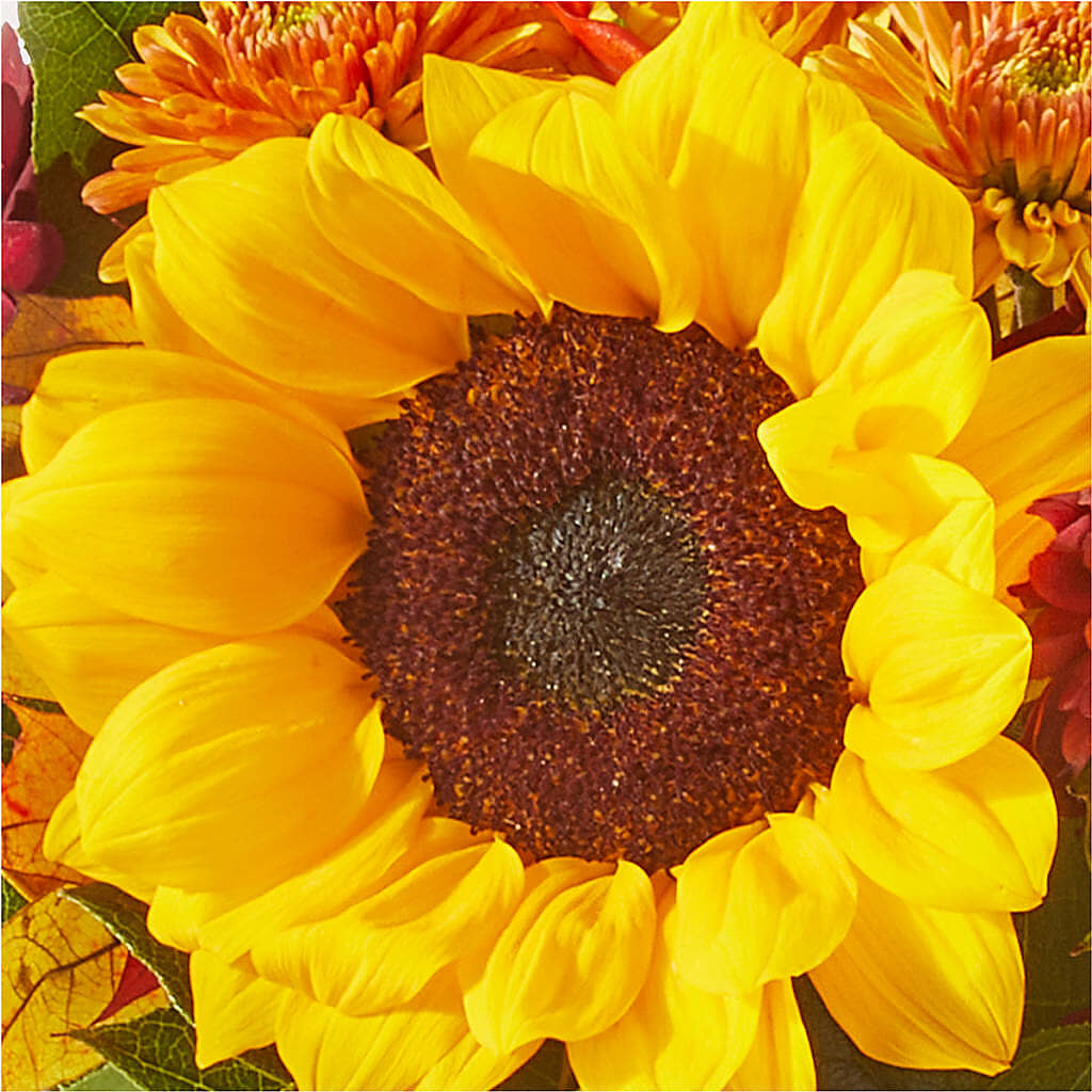 Sunny Side Bouquet –  Flora Ventures Llc, Newmarket NH