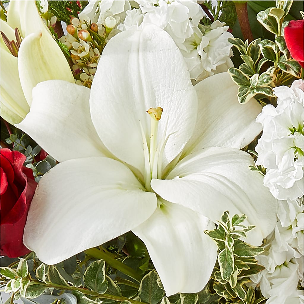 Twinkle Lights Bouquet –  Flora Ventures Llc, Newmarket NH