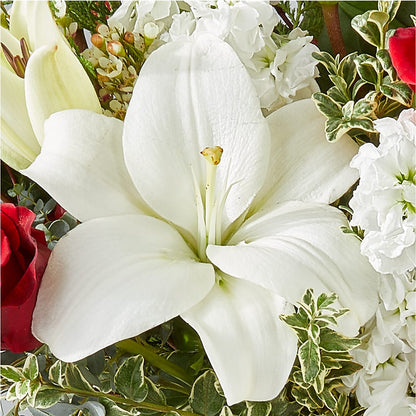 Twinkle Lights Bouquet –  Flora Ventures Llc, Newmarket NH