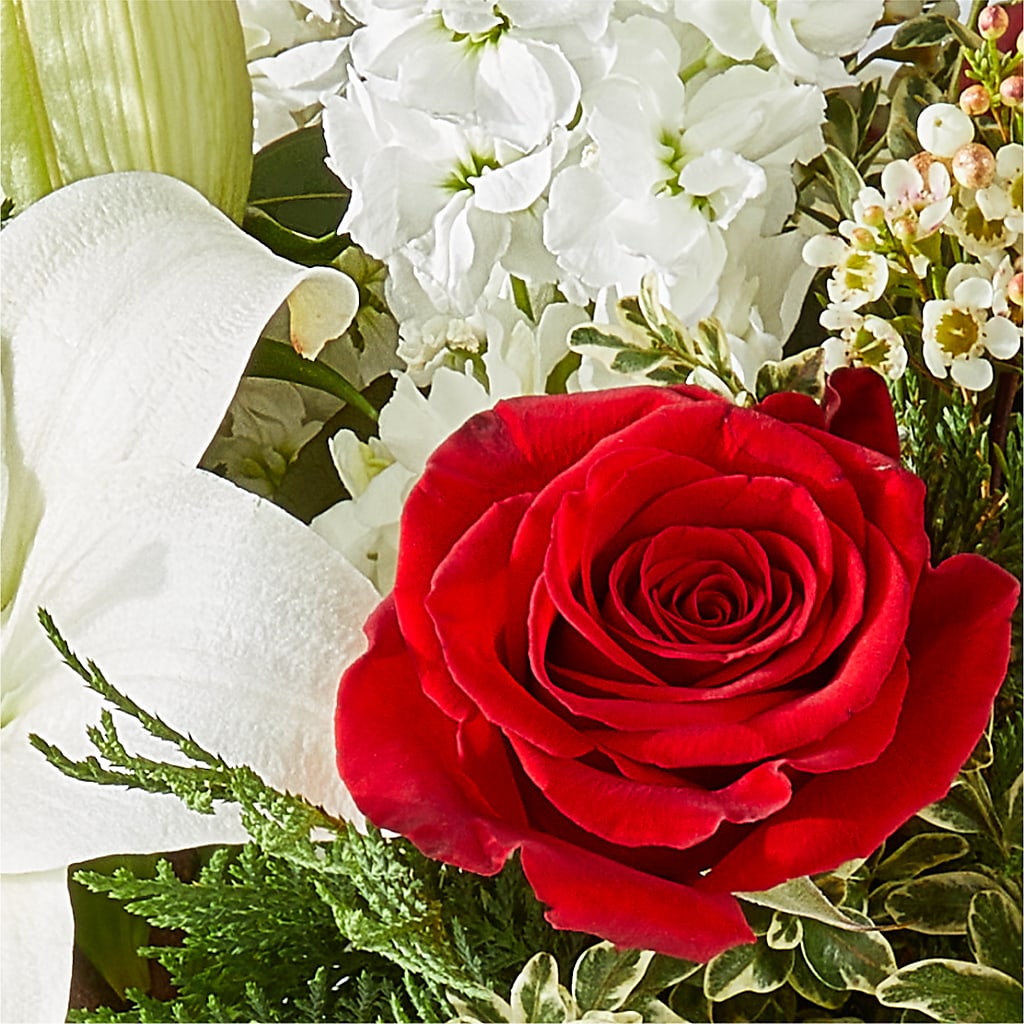 Twinkle Lights Bouquet –  Flora Ventures Llc, Newmarket NH