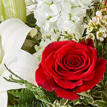 Twinkle Lights Bouquet –  Flora Ventures Llc, Newmarket NH