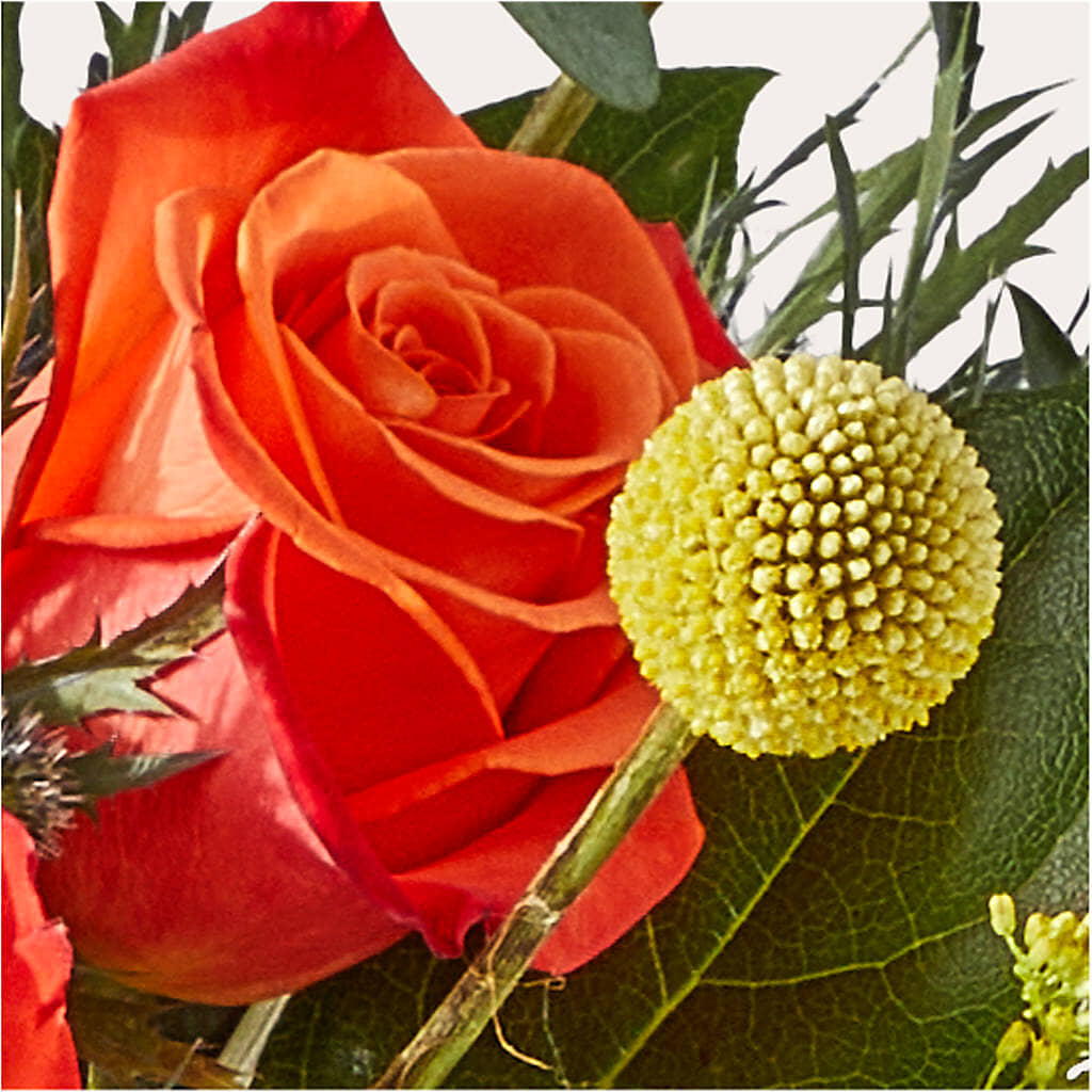 Disco Bouquet –  Flora Ventures Llc, Newmarket NH