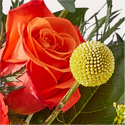 Disco Bouquet –  Flora Ventures Llc, Newmarket NH