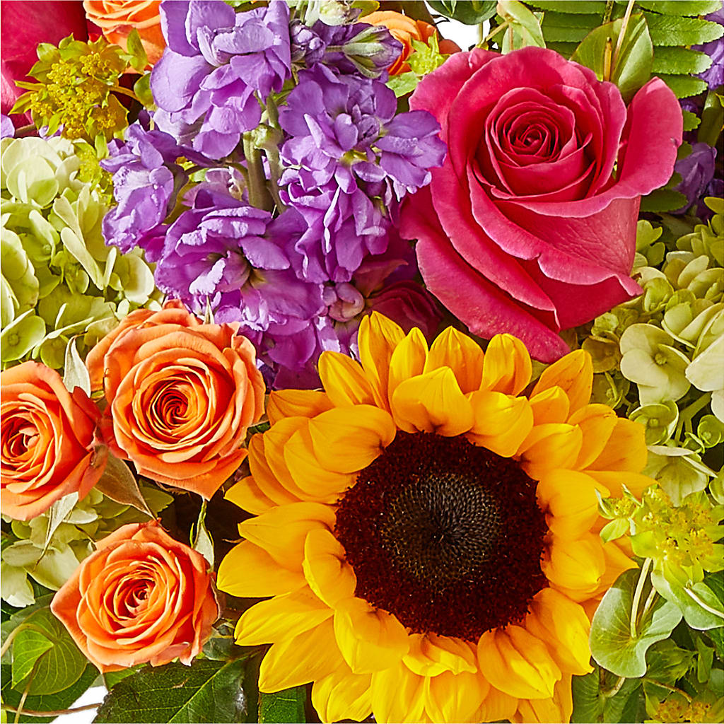 Vibrant Greetings Bouquet –  Flora Ventures Llc, Newmarket NH