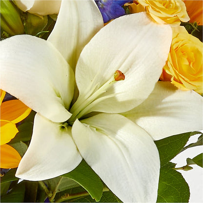 Wonderfully Sunny Bouquet –  Flora Ventures Llc, Newmarket NH
