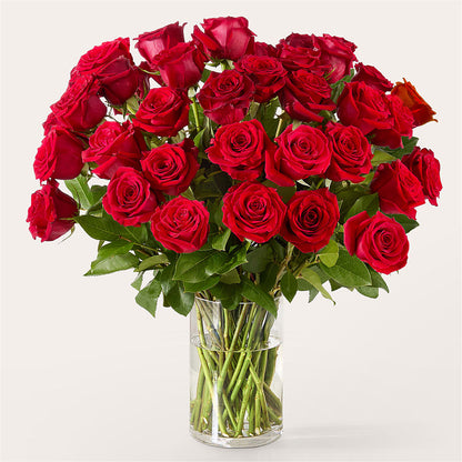 The One Red Rose Bouquet –  Flora Ventures Llc, Newmarket NH