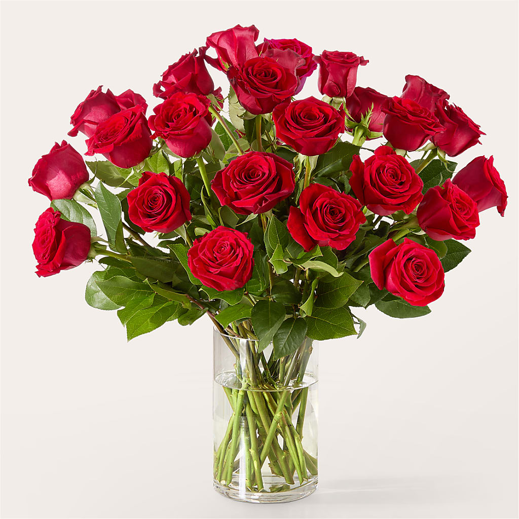 The One Red Rose Bouquet –  Flora Ventures Llc, Newmarket NH