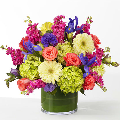 The Couture –  Flora Ventures Llc, Newmarket NH