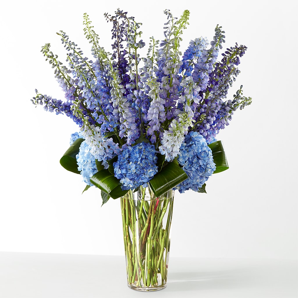 The Editorial –  Flora Ventures Llc, Newmarket NH