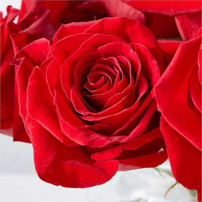 Cupid's Embrace Red Rose Bouquet –  Flora Ventures Llc, Newmarket NH